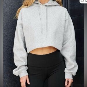 ALO Yoga Light Gray Cropped Sweatshirt